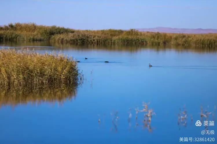 走进青土湖
